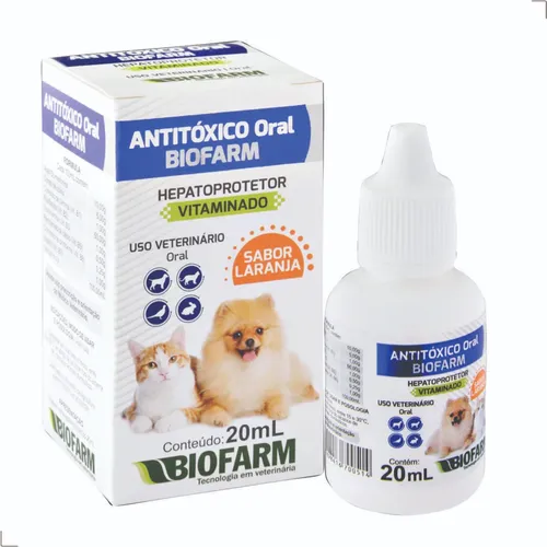 o que fazer quando cachorro vomita sangue