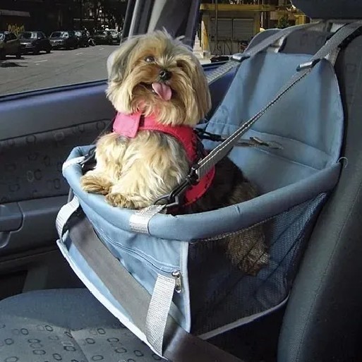 cadeirinha para cães