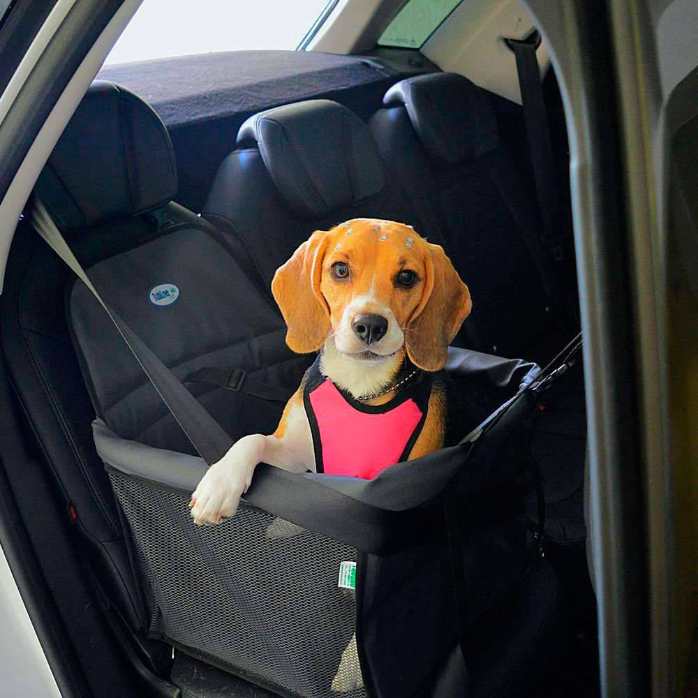 booster para cães no carro