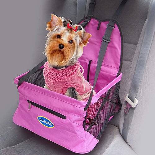 booster para cães no carro