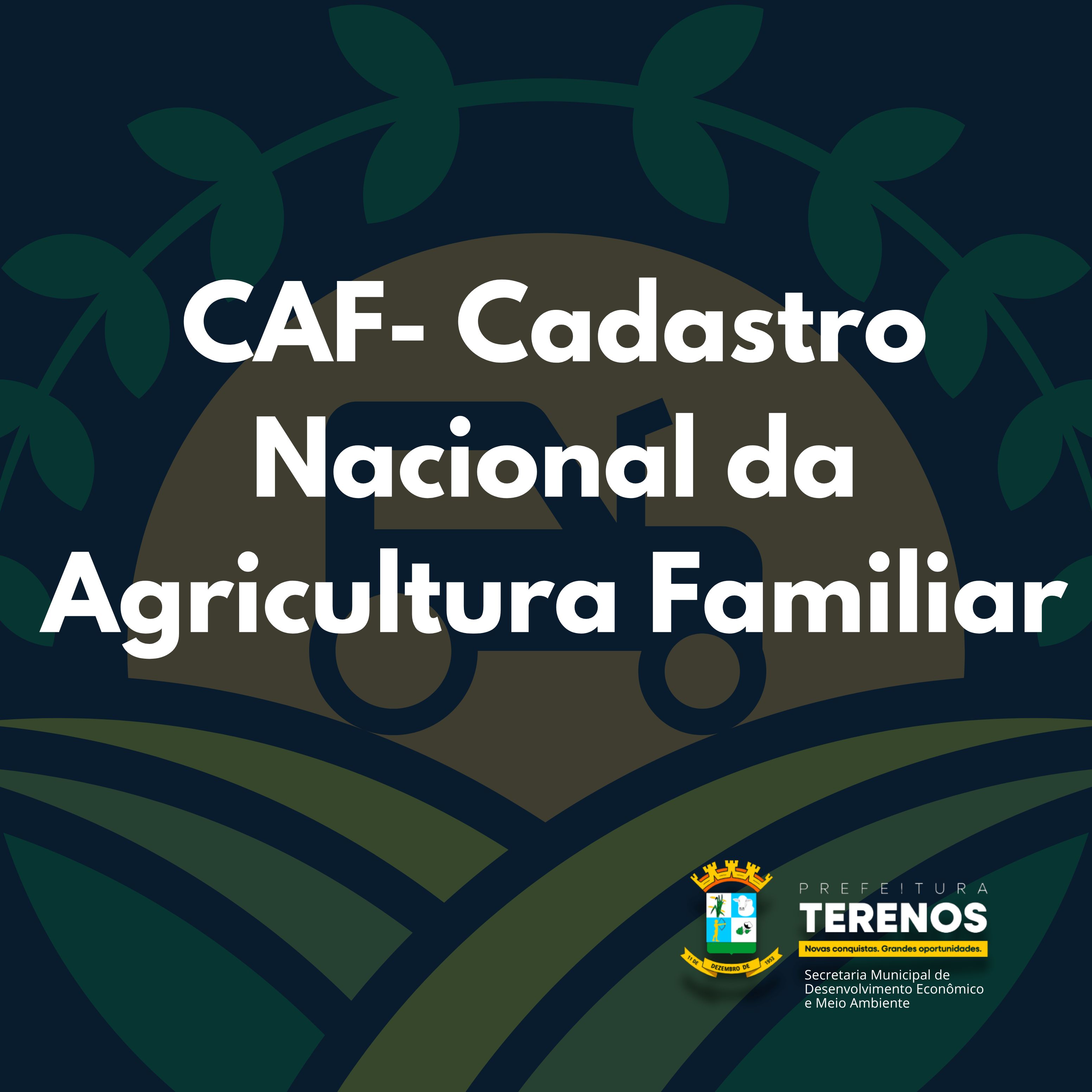 onde emitir o CAF em São Paulo