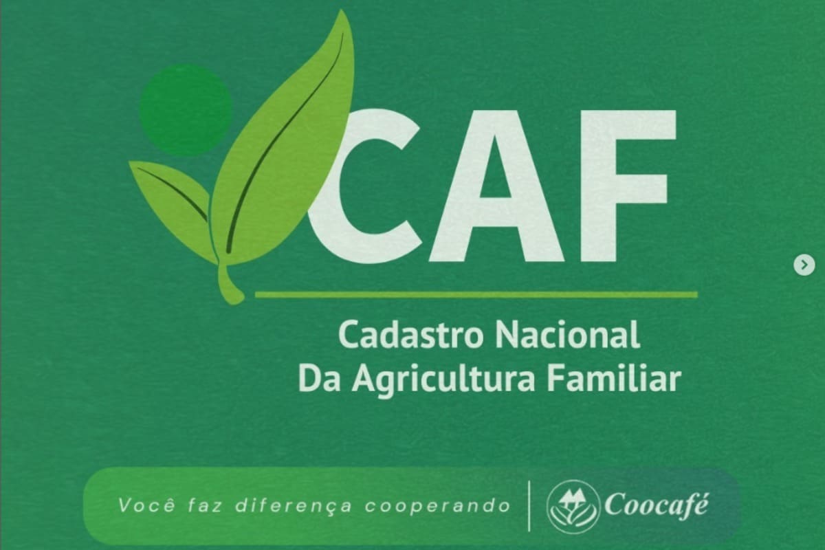 qual a diferença entre CAF e DAP