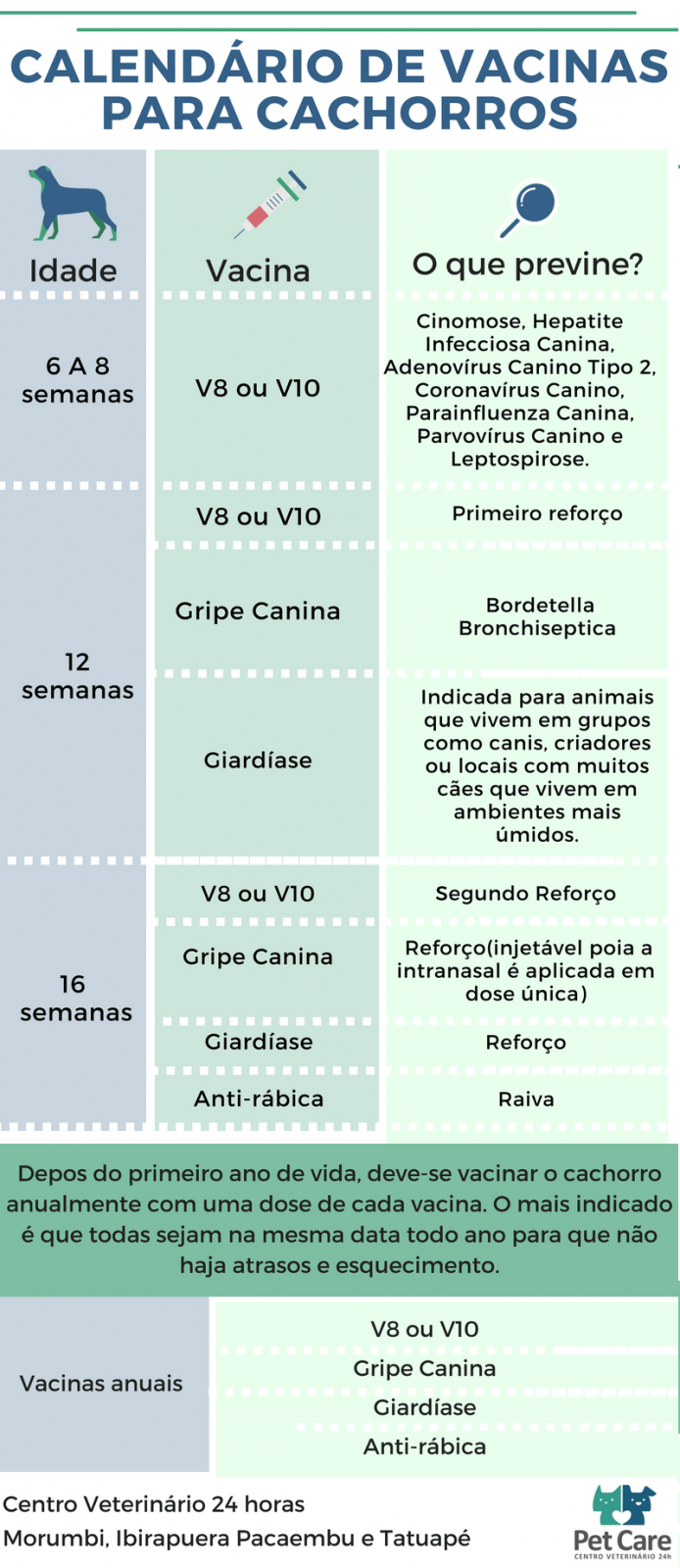 calendário de vacinas para cães