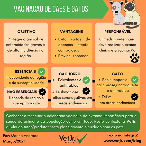 idade para vacina antirrábica cães