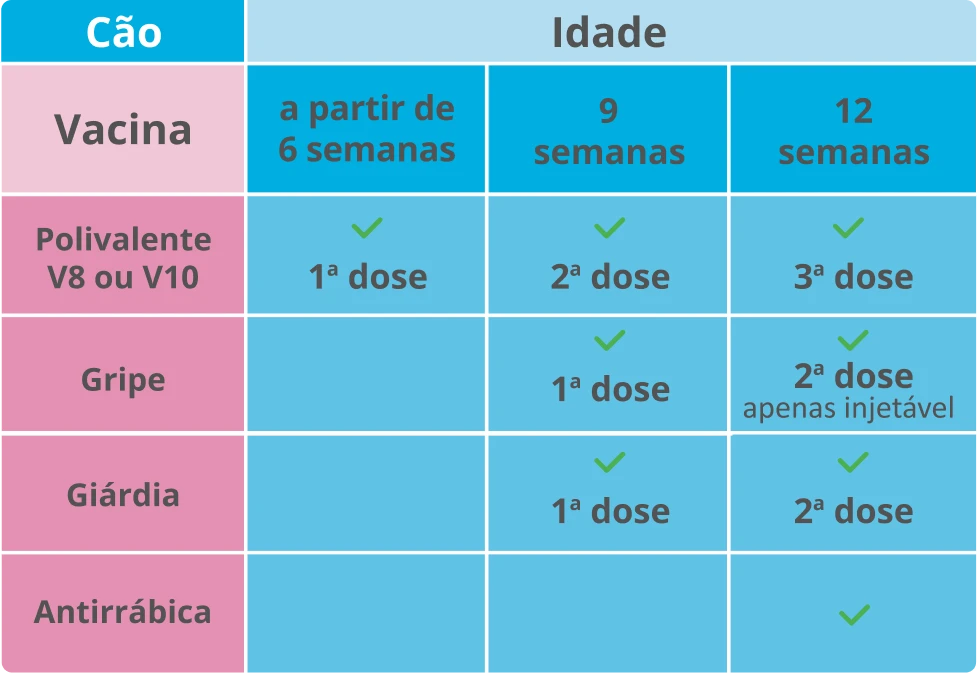 reforço vacinal cães adultos