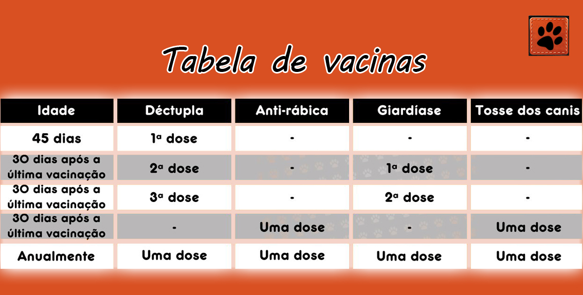 calendário de vacinas para cães