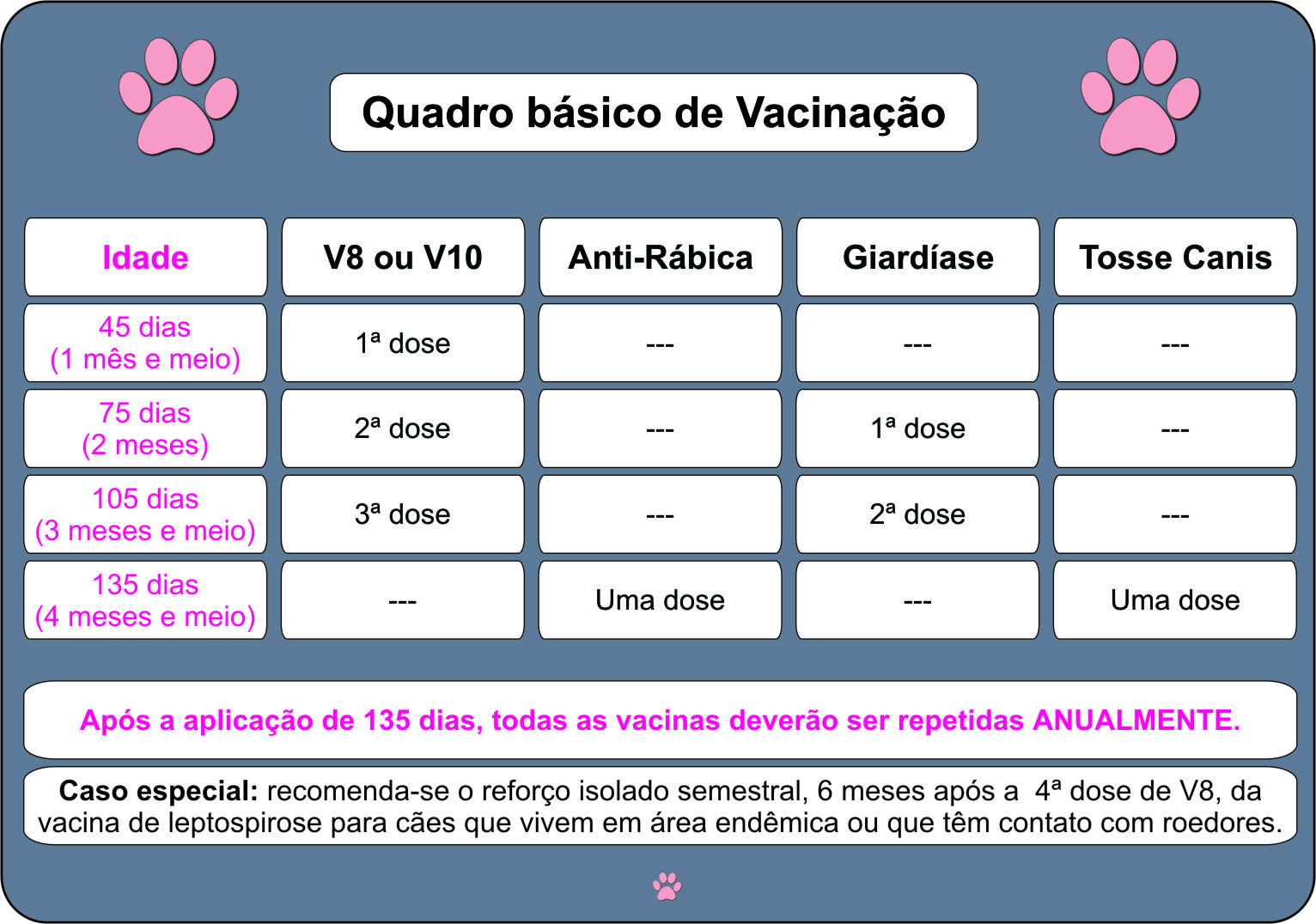 calendário vacinal cães filhotes brasil