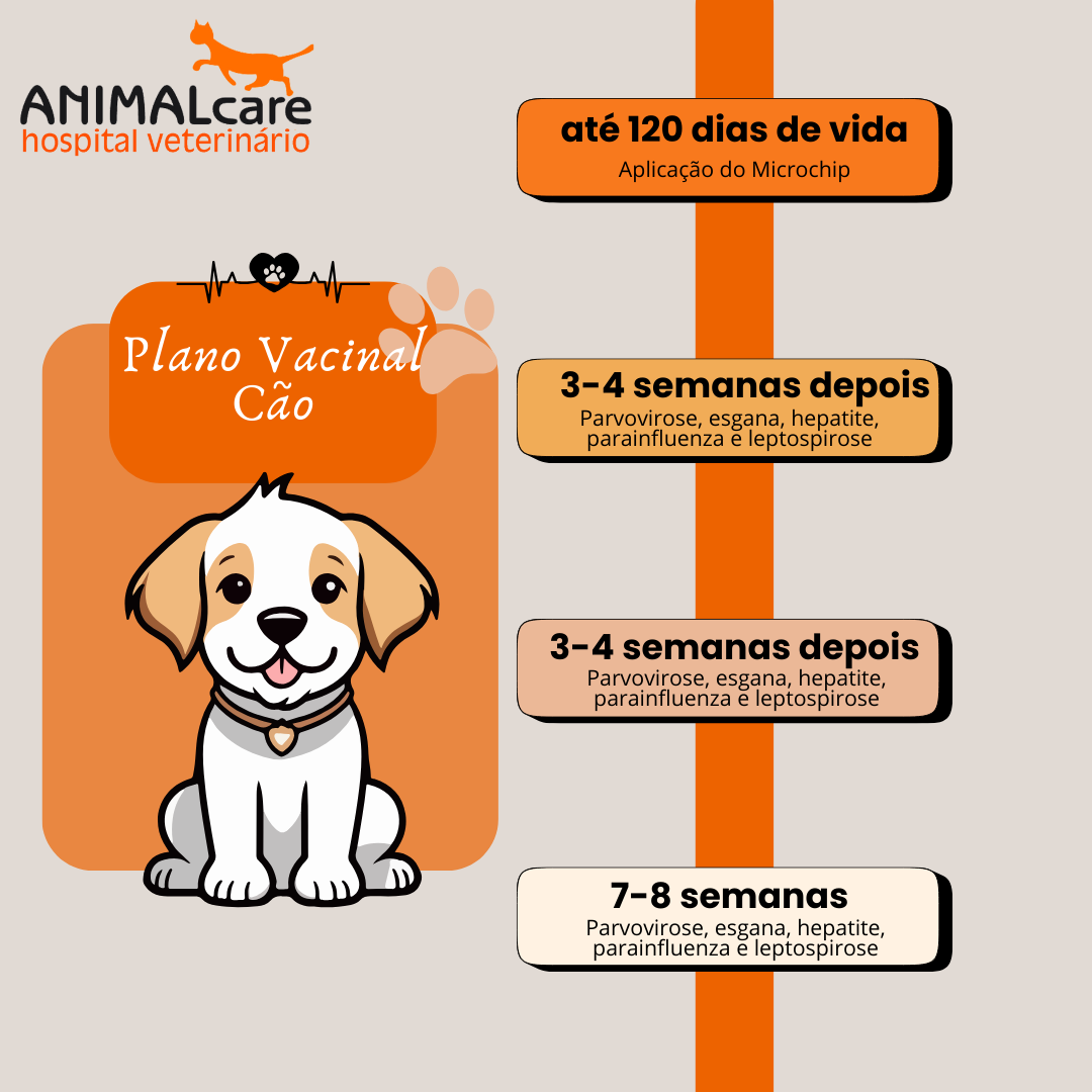 vacina v8 v10 filhote quando aplicar