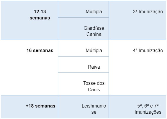 protocolo vacinação cachorro jovem
