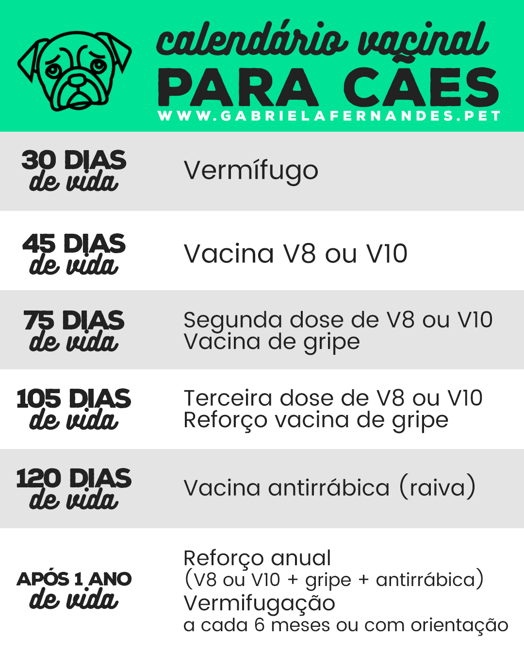 reforço vacinal cães adultos
