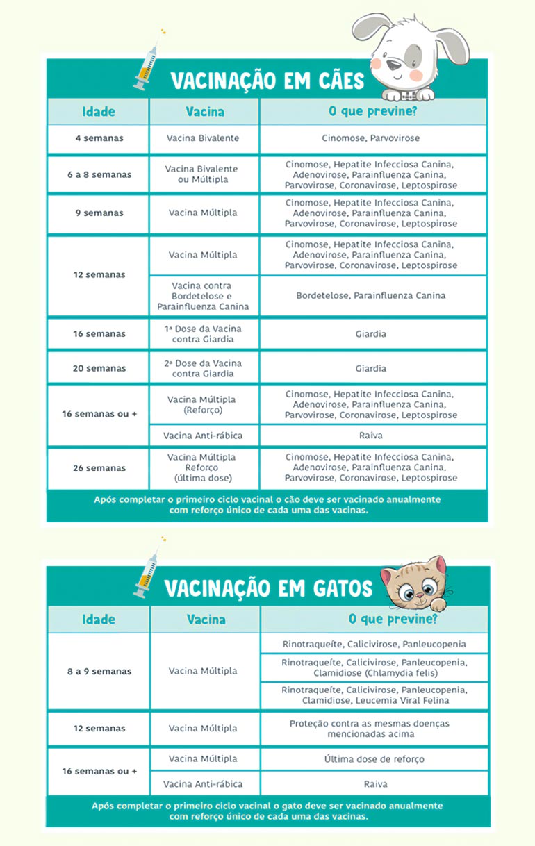 calendário de vacinas para cães