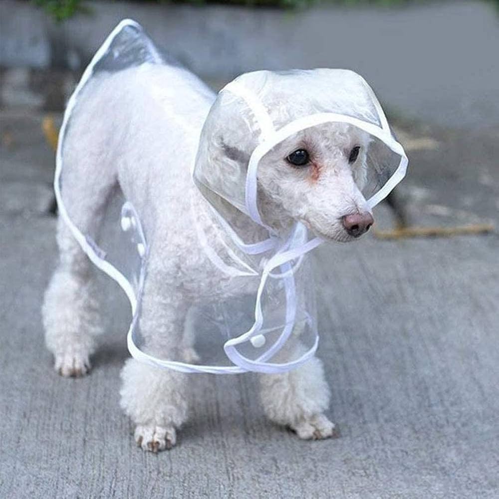 capa de chuva para cachorro
