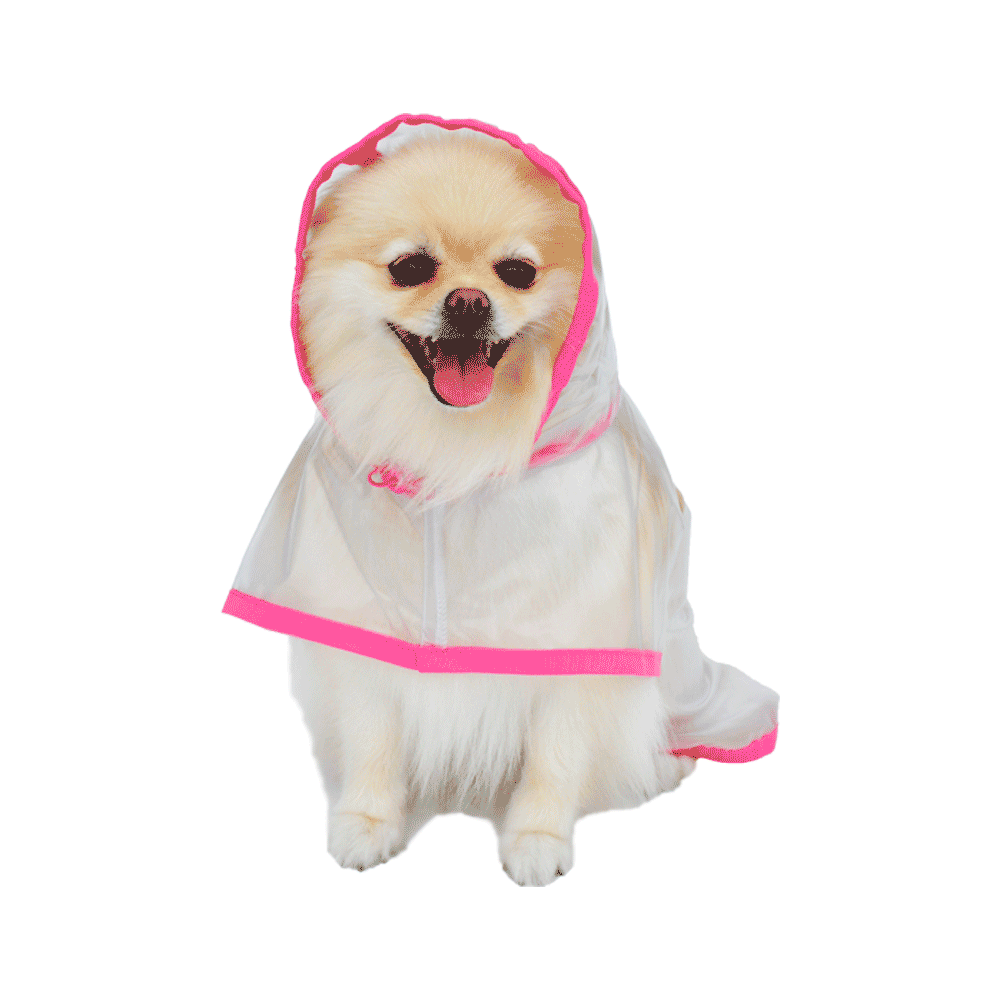 capa de chuva para cachorro