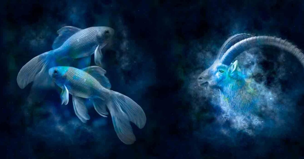 Capricórnio + Peixes Sinastria