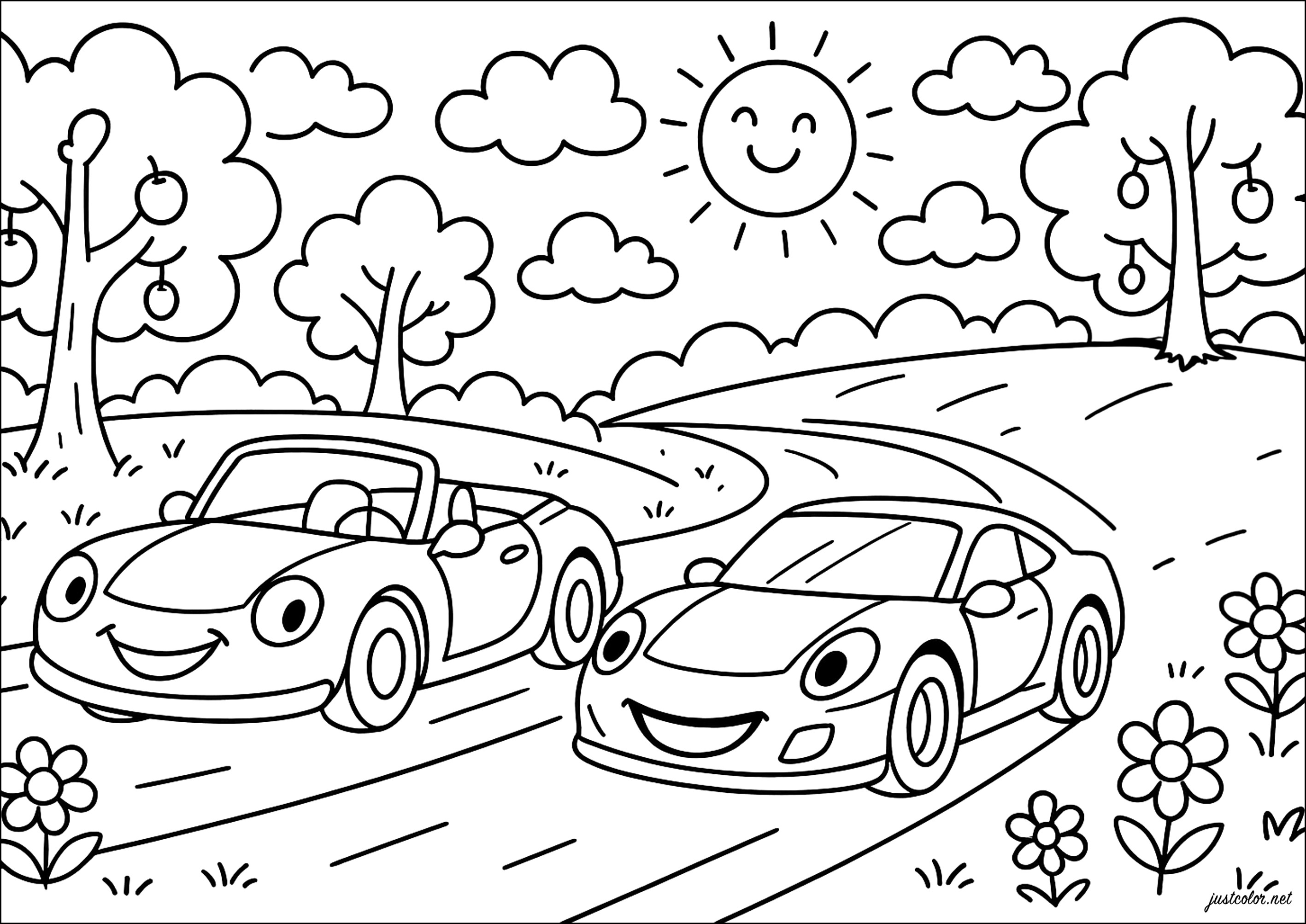 livro de colorir carros adultos