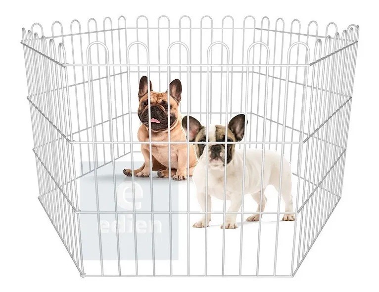 cercadinho para cachorro