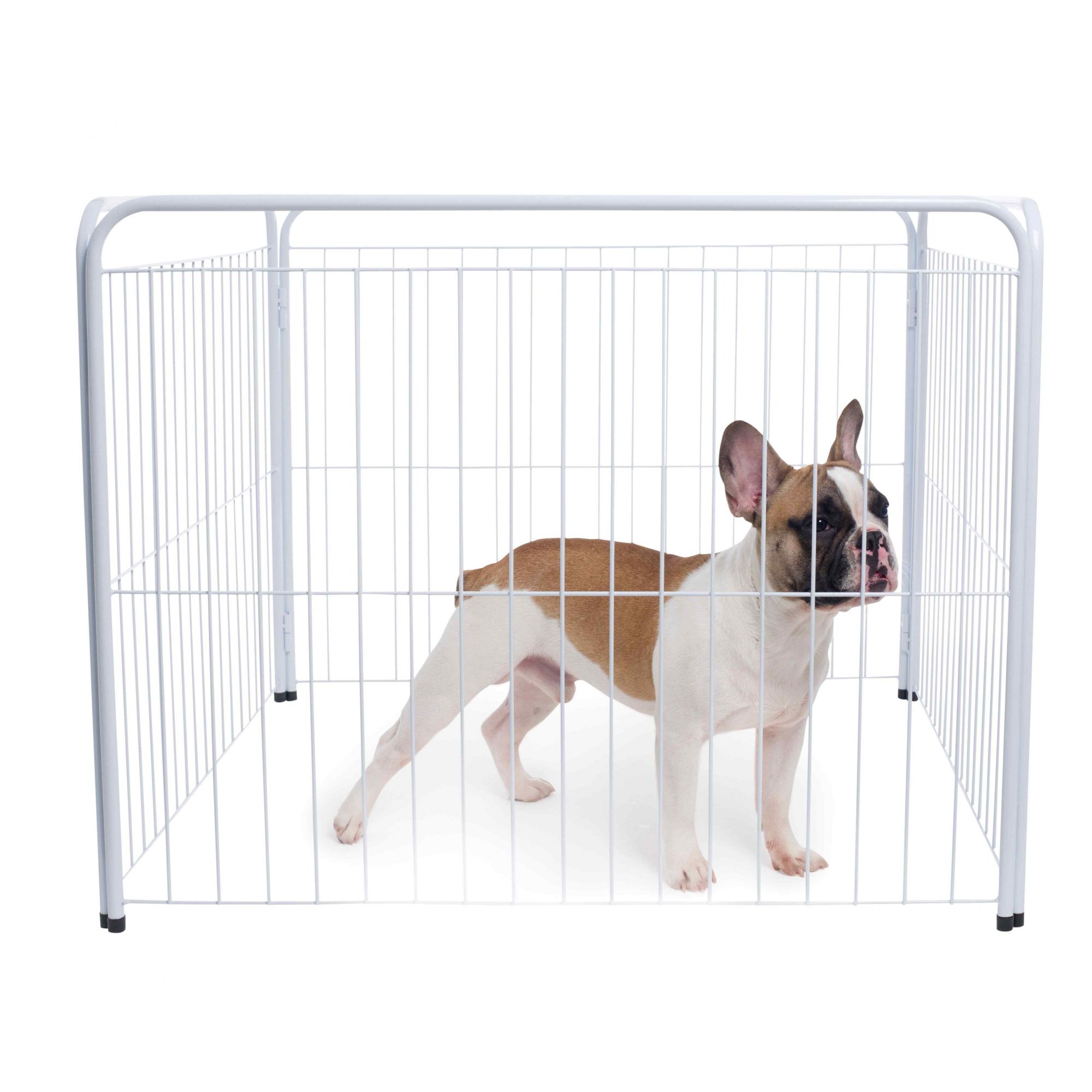 barreira de proteção para cães