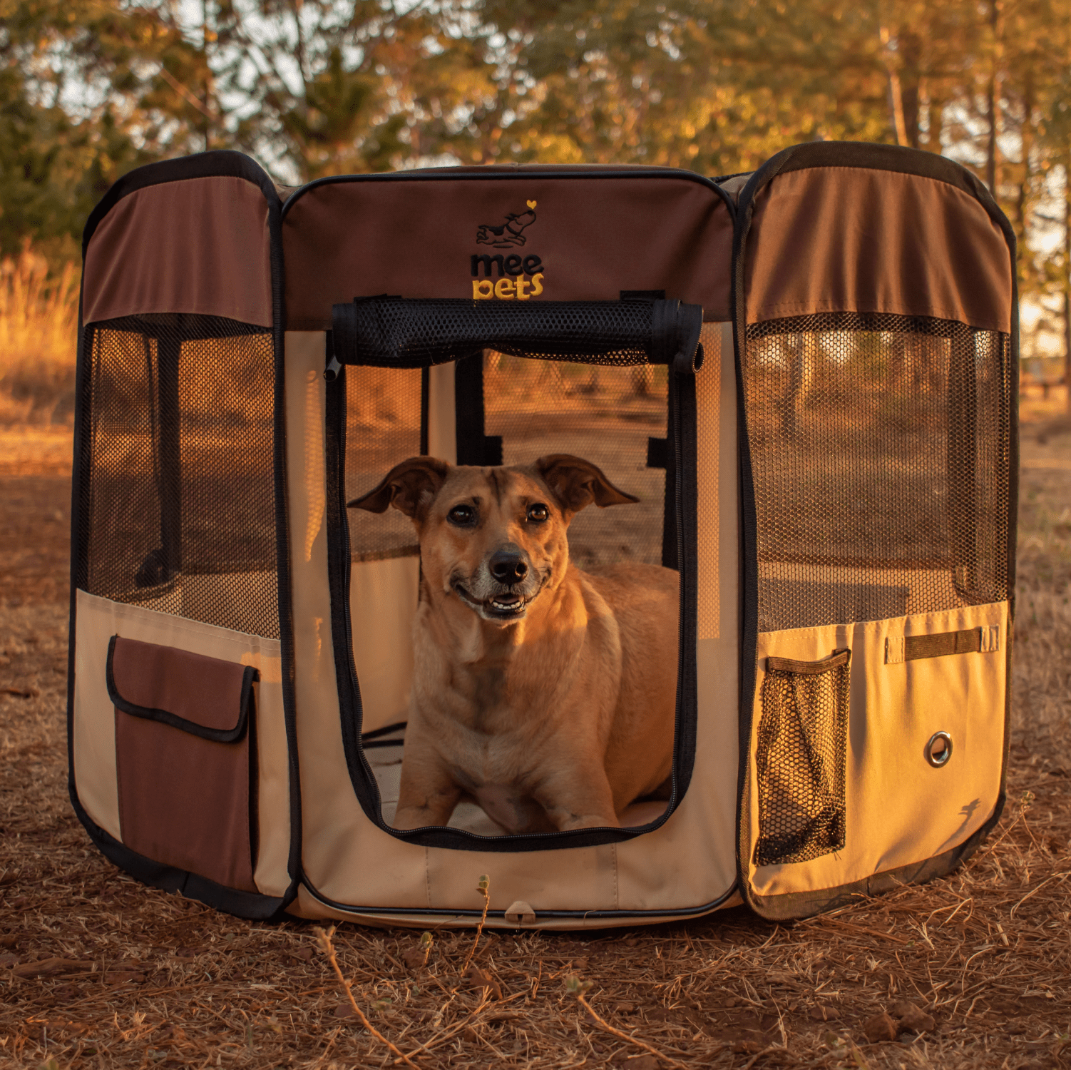 barreira de proteção para cães