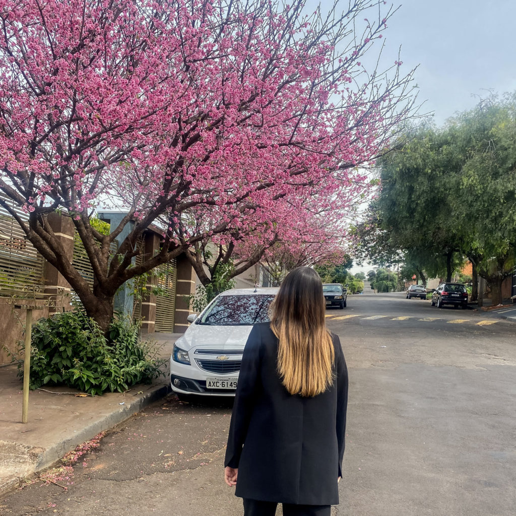 Época de florada cerejeira Japão