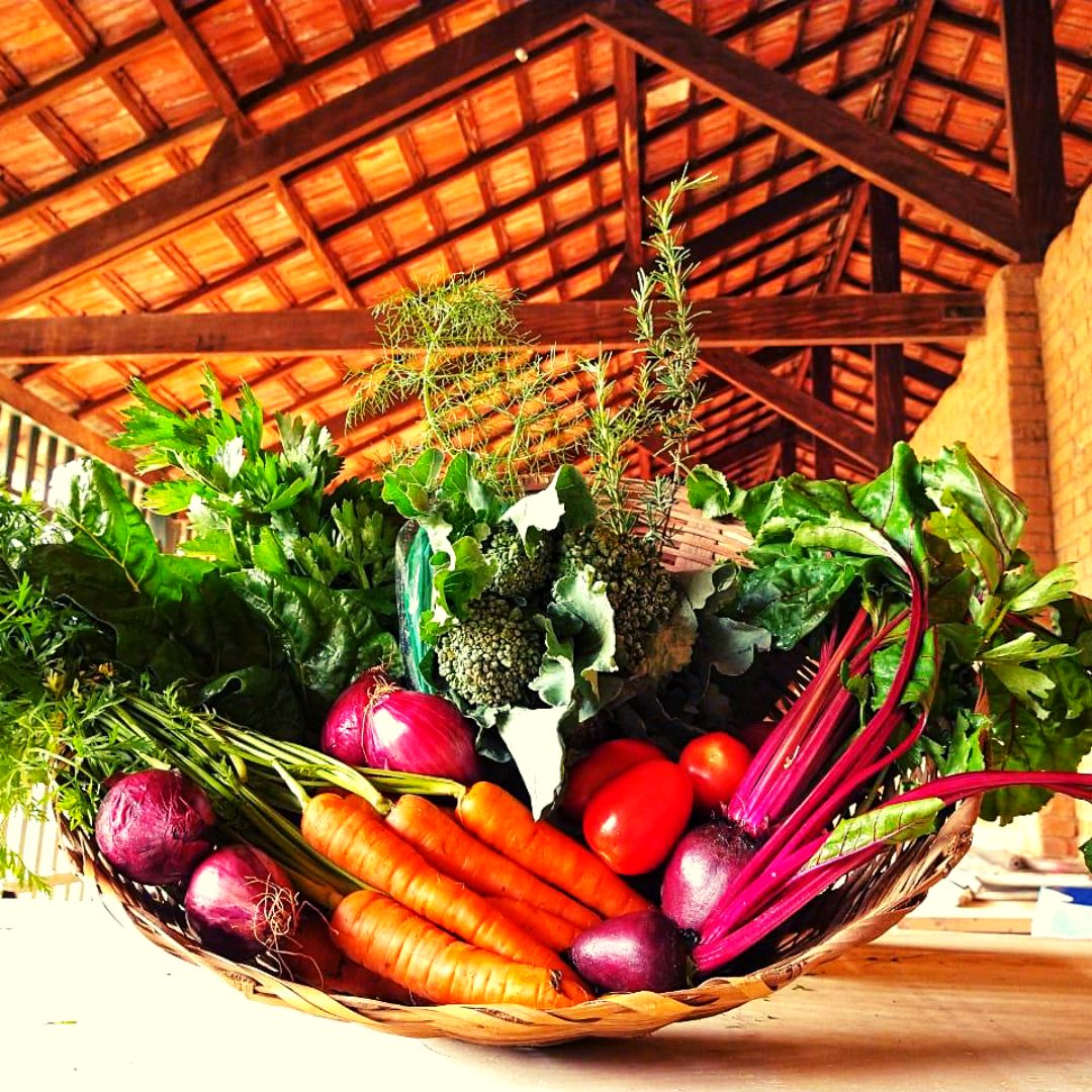 cesta de produtos orgânicos