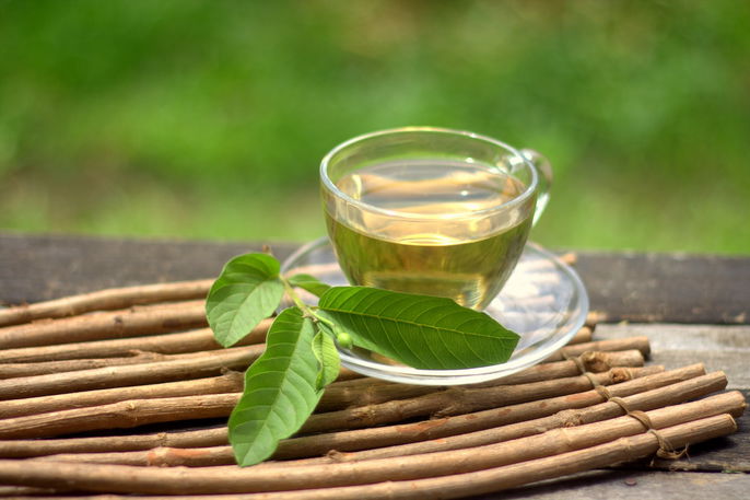melhores chás para diarreia lista completa
