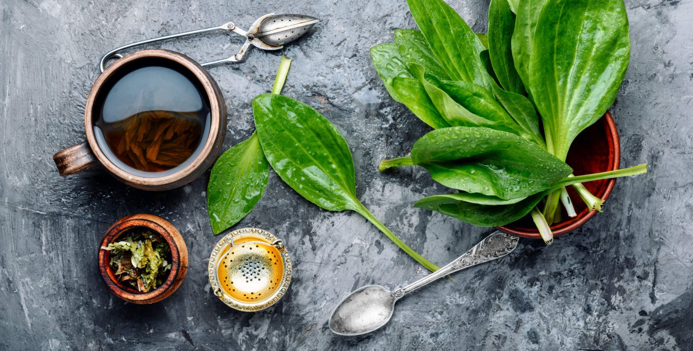 5 ideias de títulos