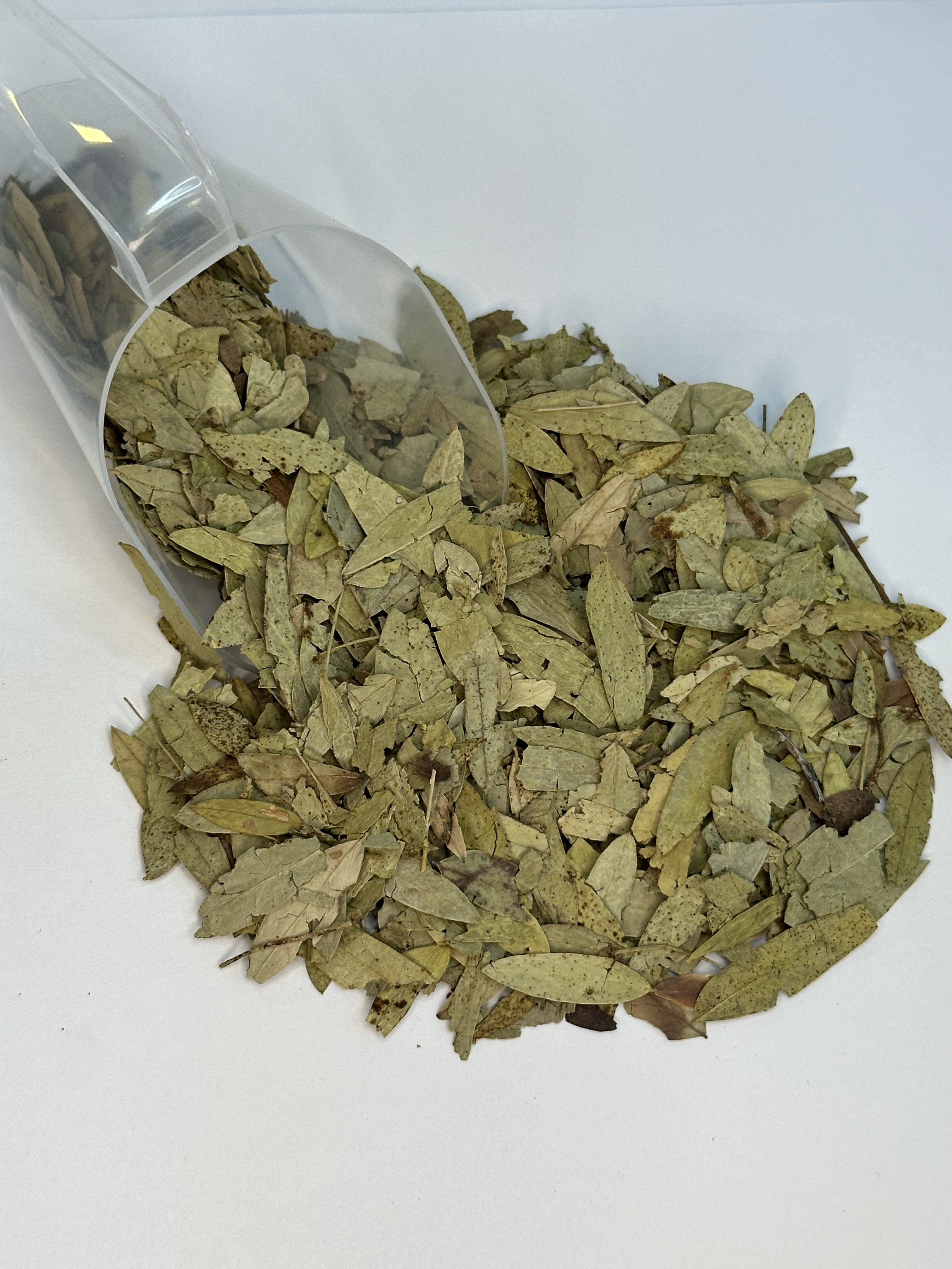 5 ideias de títulos