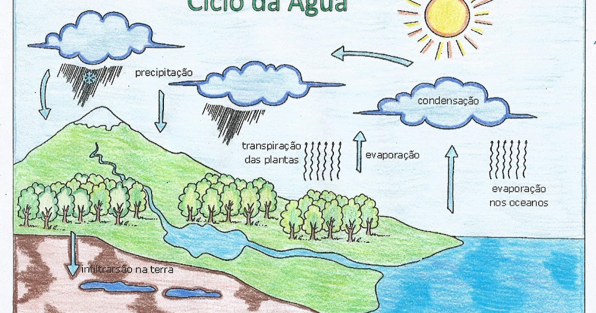 ciclo da água em quadrinhos para colorir