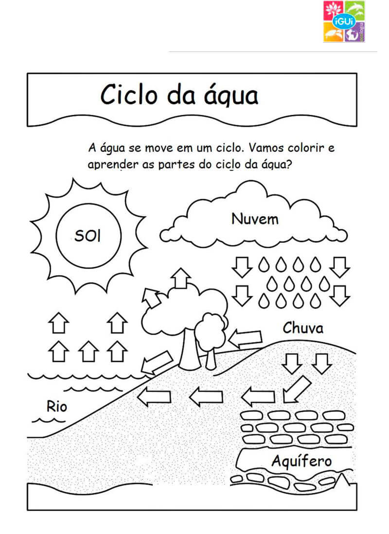 ciclo hidrológico para colorir