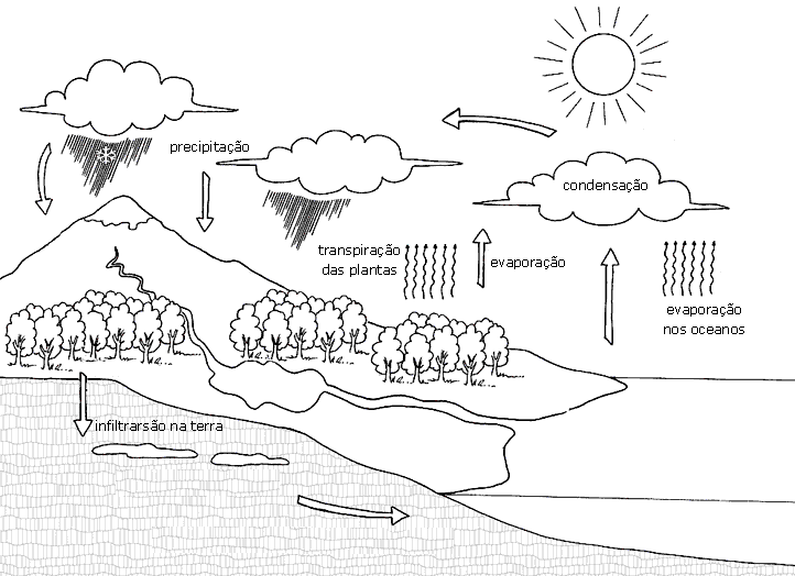 mapa conceitual ciclo da água para imprimir