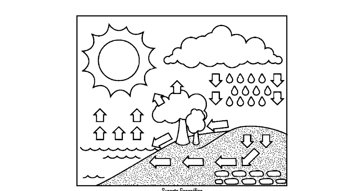 desenho científico ciclo da água para colorir