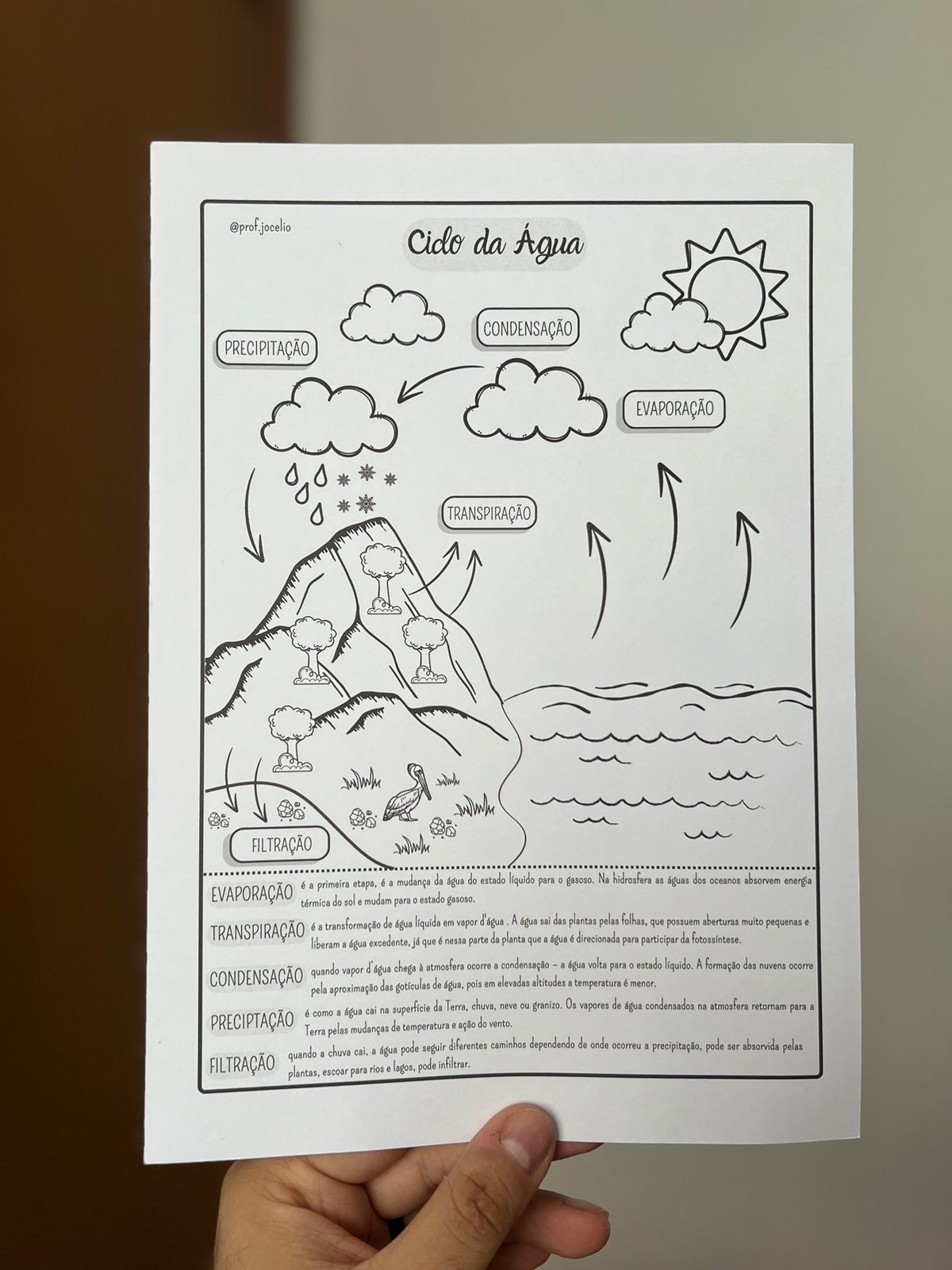 atividades sobre o ciclo da água para imprimir