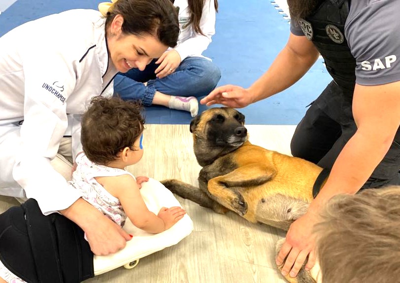 terapia com cachorros benefícios