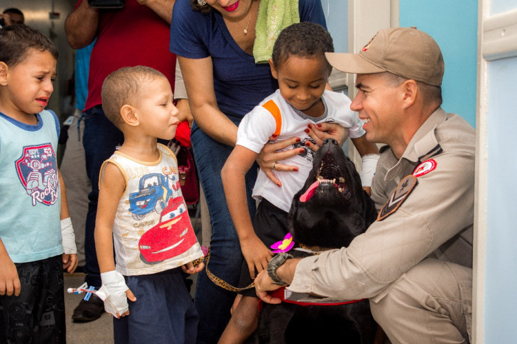 tratamento auxiliado por cães