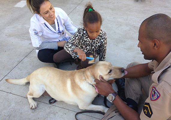 dogoterapia para autismo