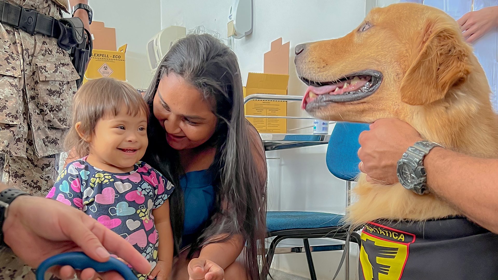 efeitos da cinoterapia no estresse