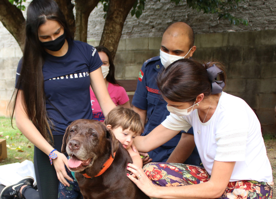 cinoterapia em hospitais