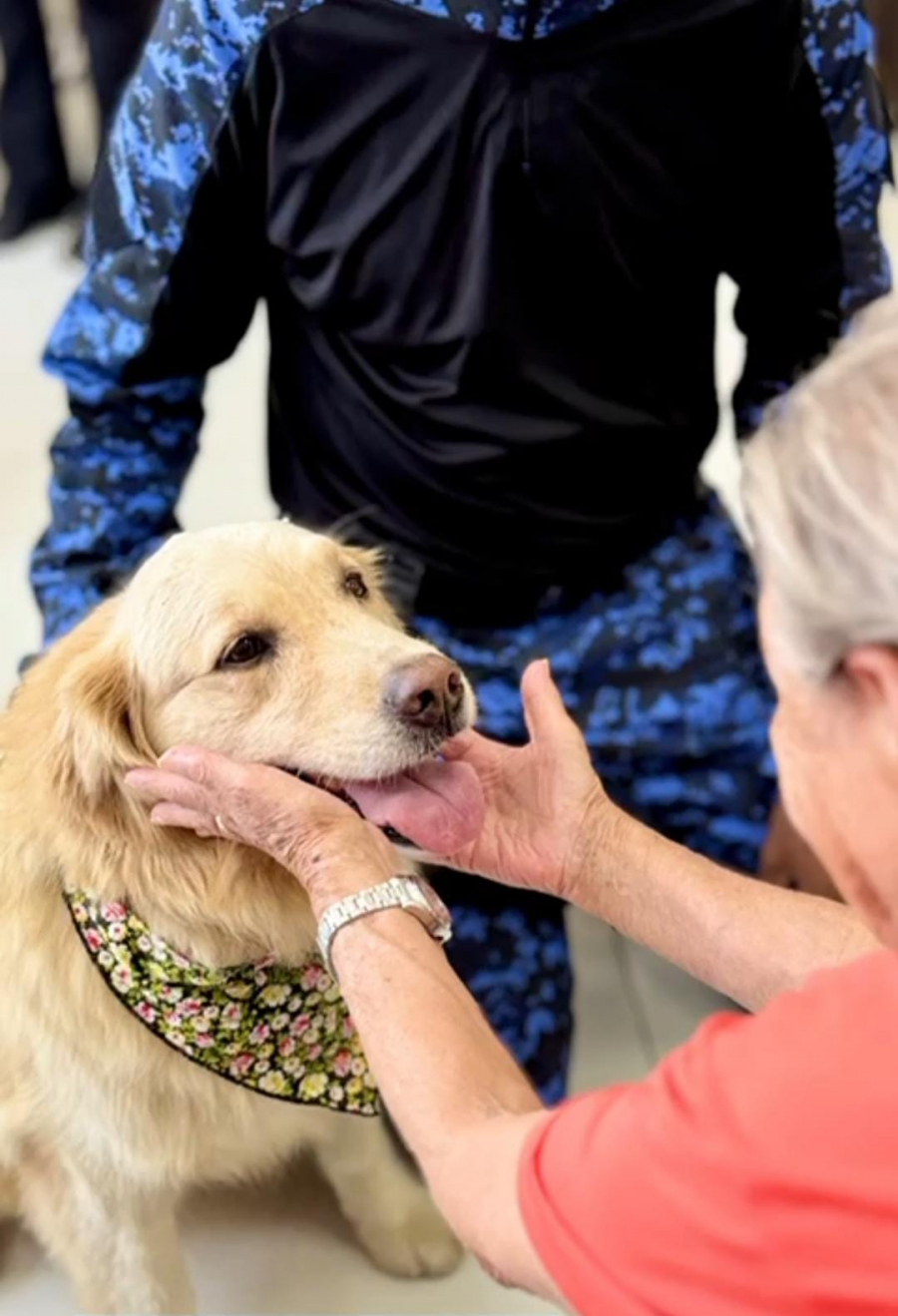 terapia com cachorros benefícios