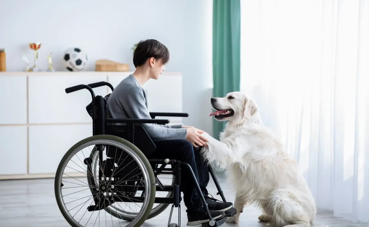 tratamento auxiliado por cães