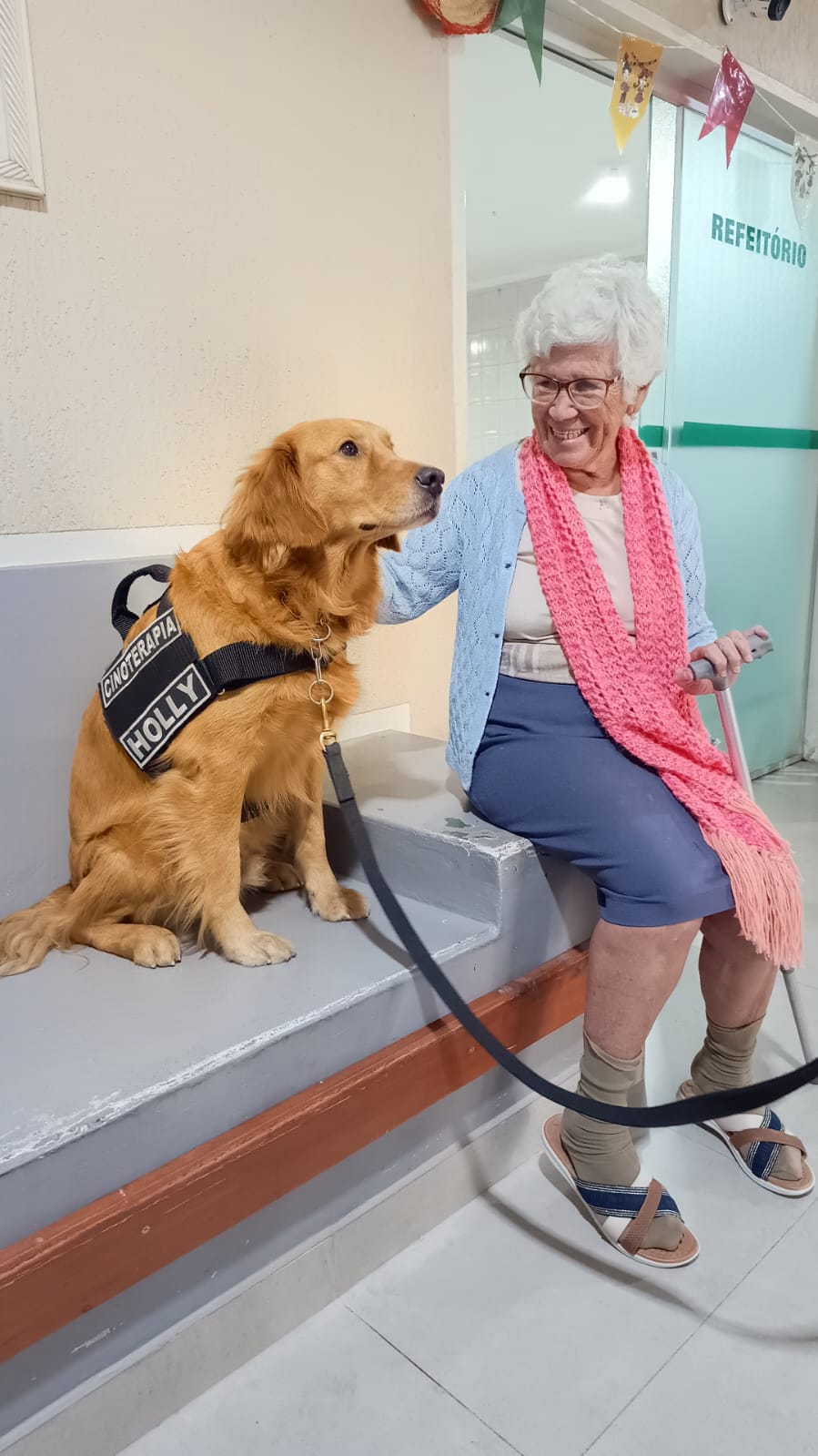 onde encontrar cinoterapia