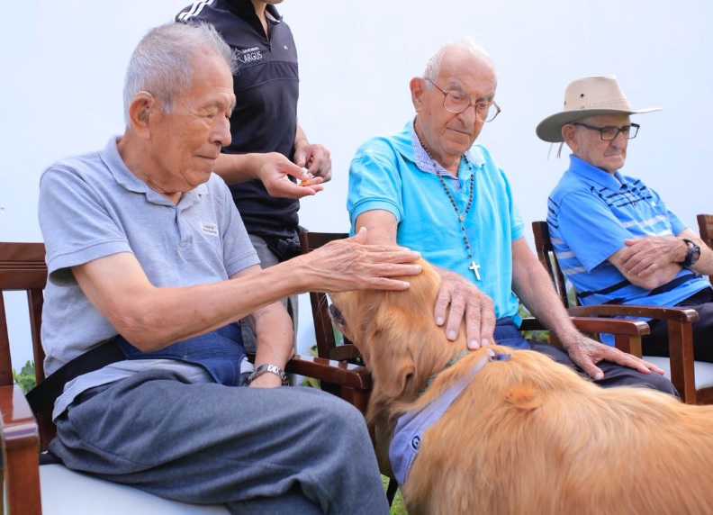 dogoterapia para autismo