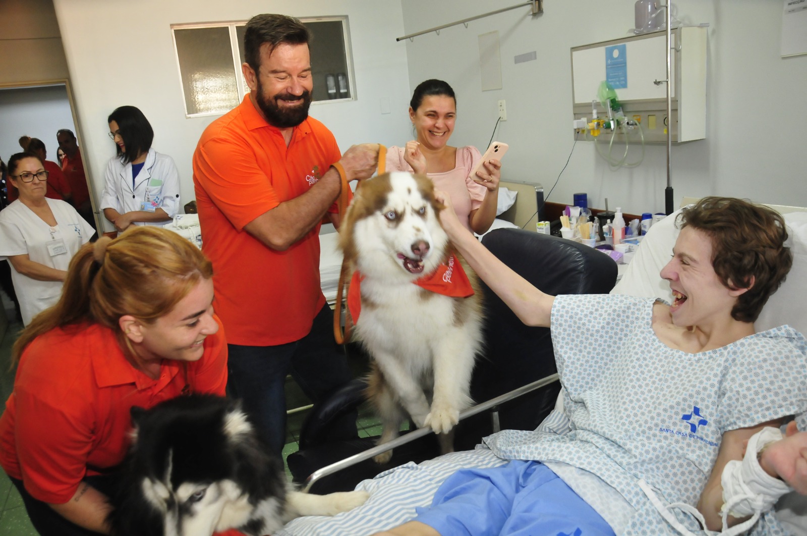 efeitos da cinoterapia no estresse