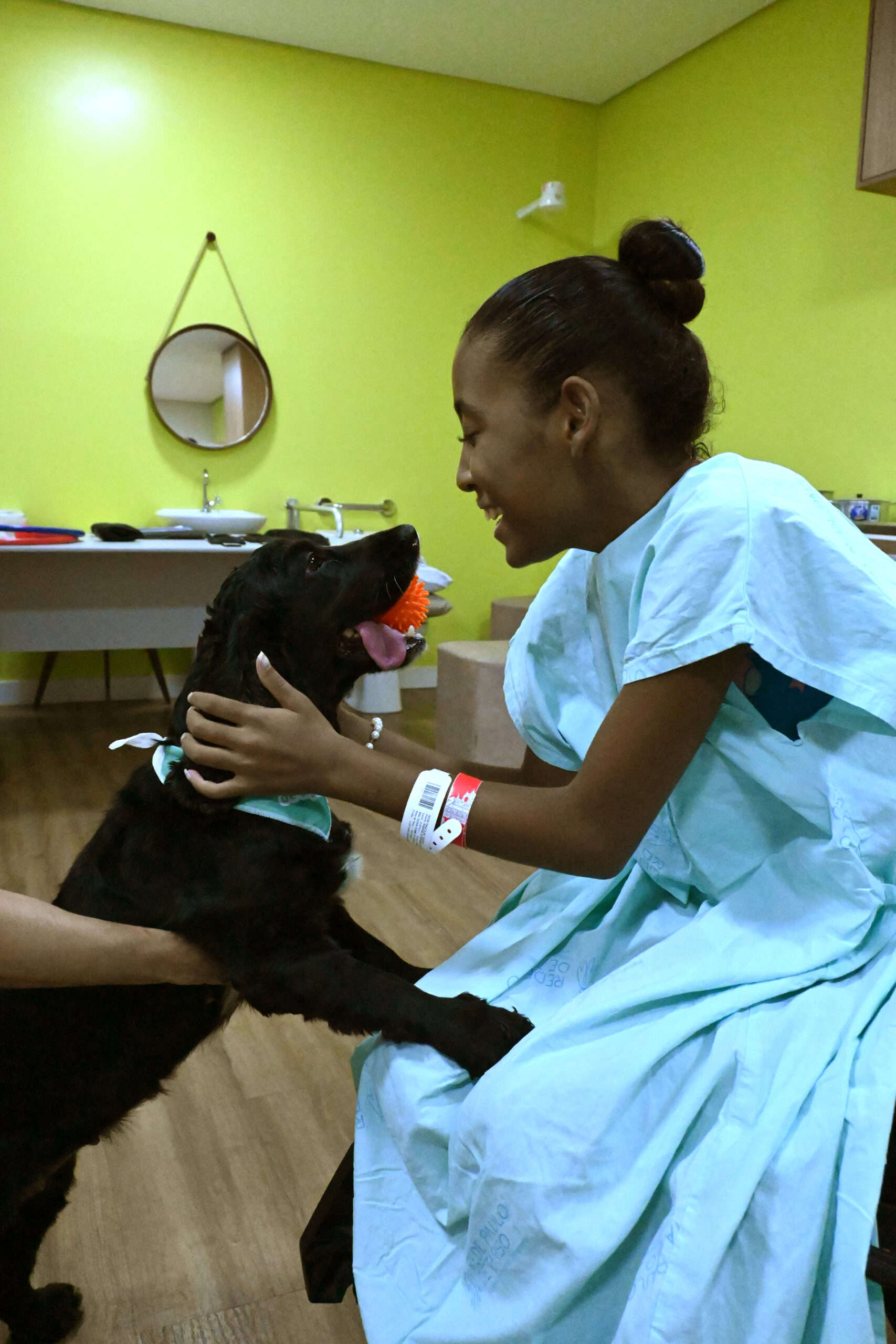 cinoterapia em hospitais