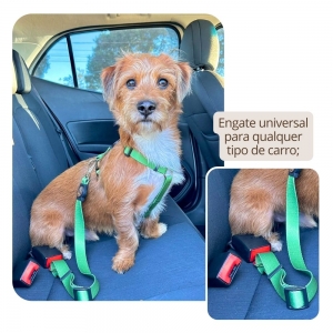 cinto de segurança para cães preço