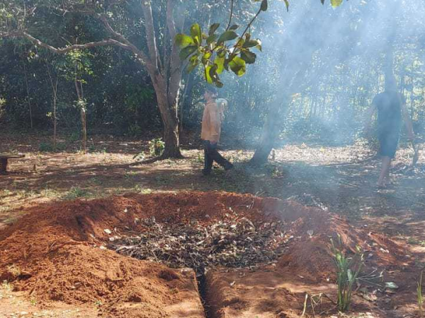 Mitos e Verdades sobre o Consumo de Frutas do Círculo de Bananeiras