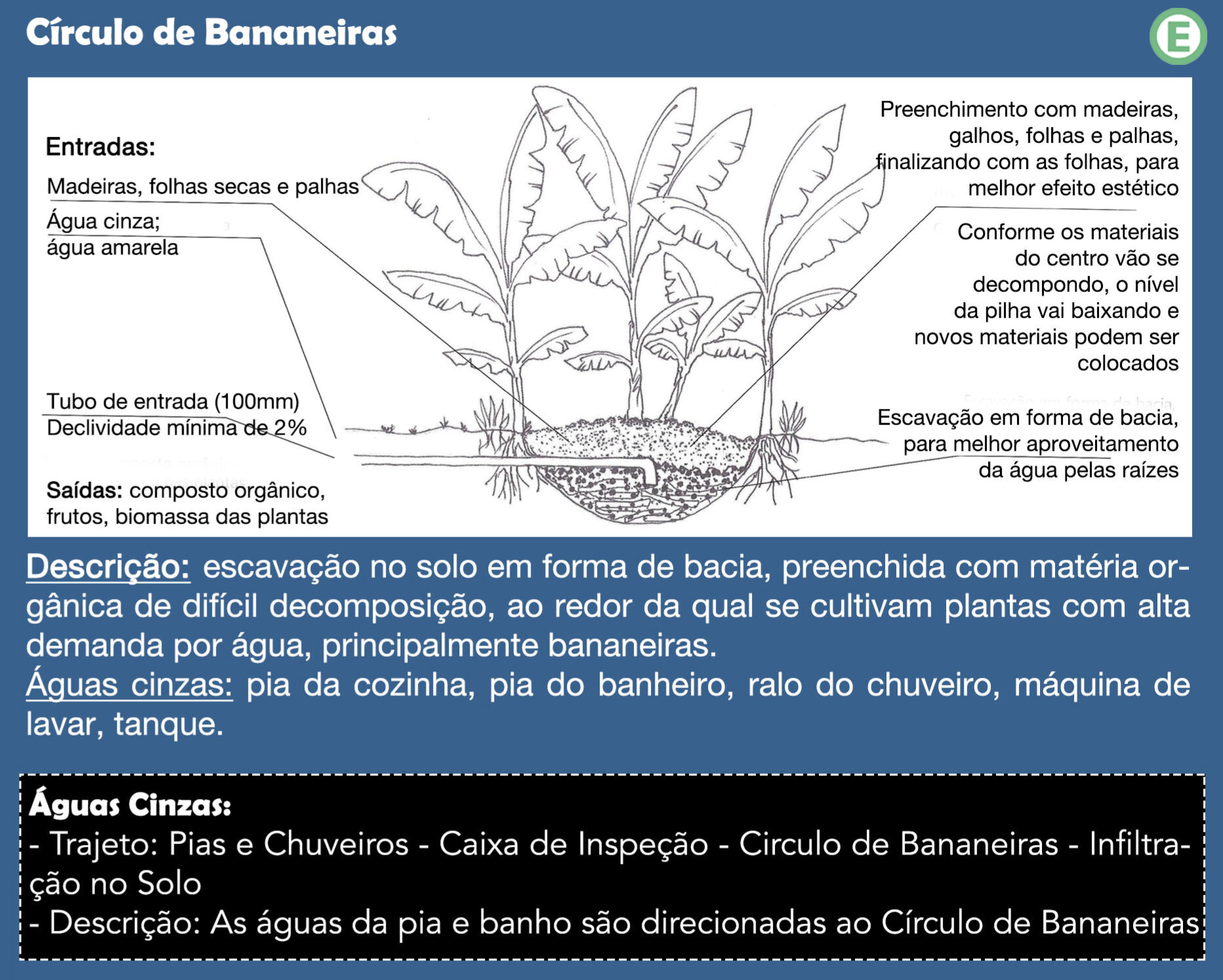 círculo de bananeiras
