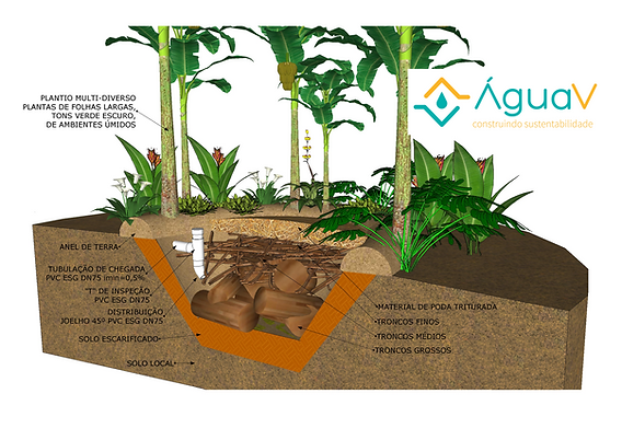 Círculo de Bananeiras vs. Bacia de Evapotranspiração: Qual Escolher?
