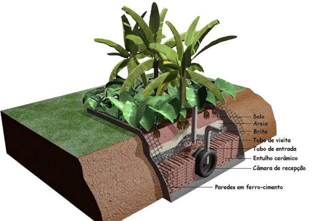 Mitos e Verdades sobre o Consumo de Frutas do Círculo de Bananeiras