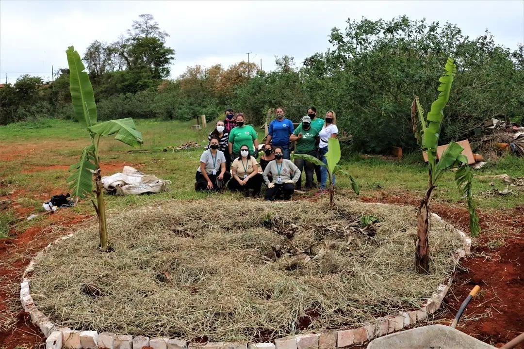 círculo de bananeiras