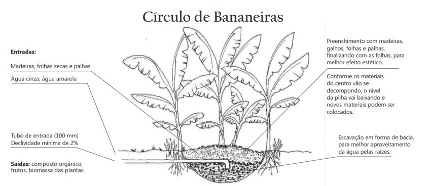 Círculo de Bananeiras vs. Bacia de Evapotranspiração: Qual Escolher?